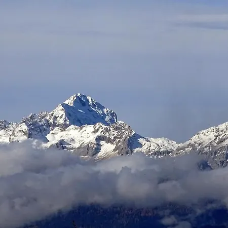 Apartma Metka Trzic Lese