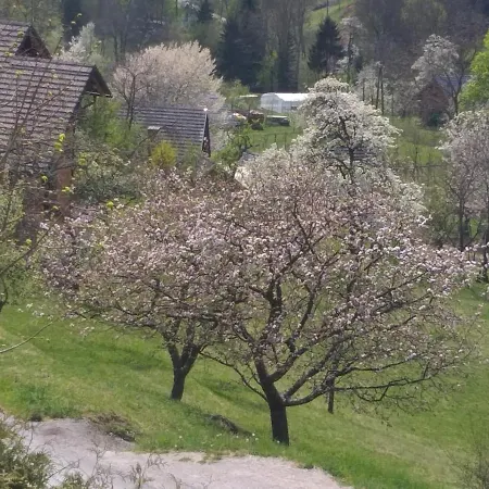 Апартаменты Apartma Metka Trzic *