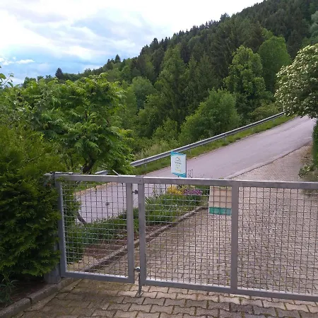 Apartma Metka Trzic * Lese