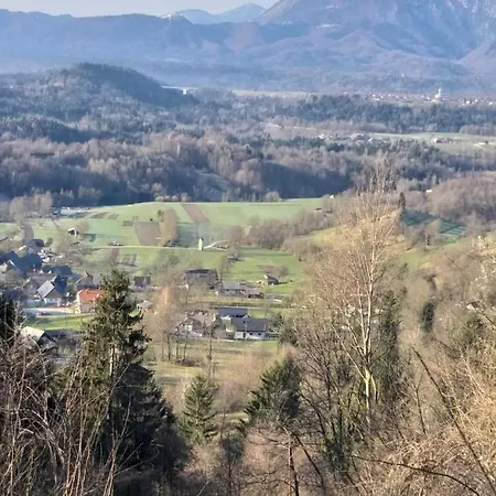 Apartma Metka Trzic *