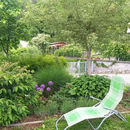 Apartma Metka Trzic Апартаменты