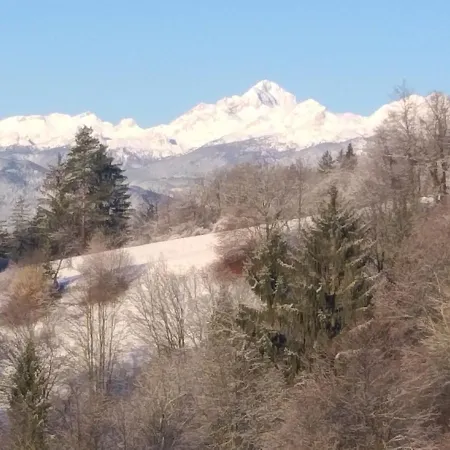 Apartma Metka Trzic Апартаменты *