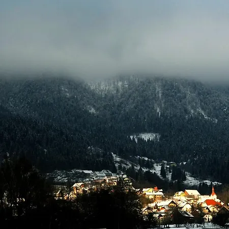 Apartma Metka Trzic * Lese