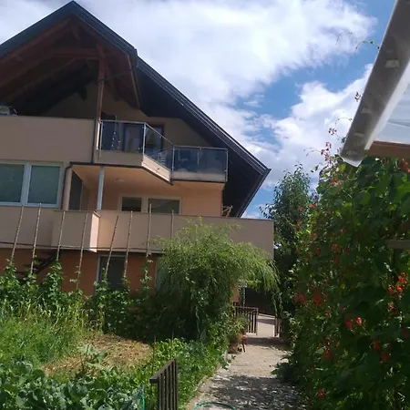 Apartma Metka Trzic Lägenhet