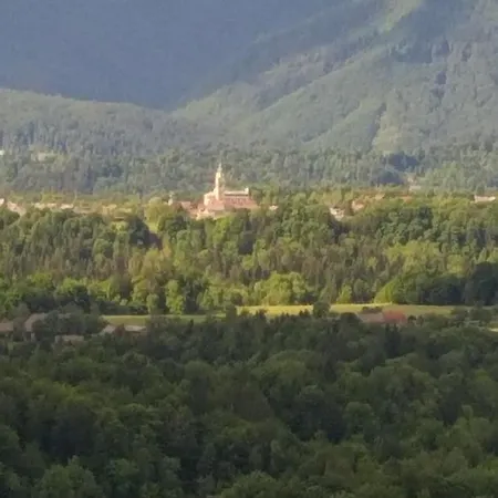 Apartma Metka Trzic * Lese