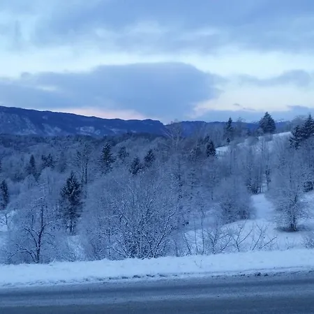 Apartma Metka Trzic Lägenhet Lese