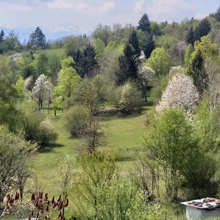 Apartma Metka Trzic *