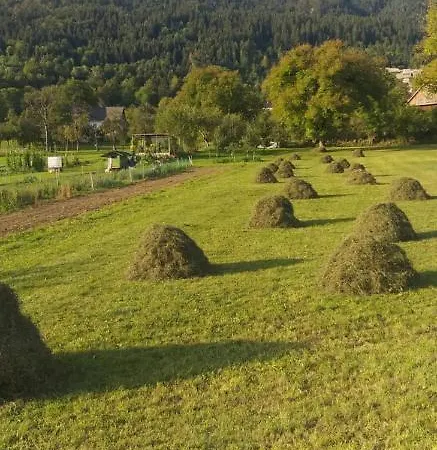 Appartement Apartma Metka Trzic Lese