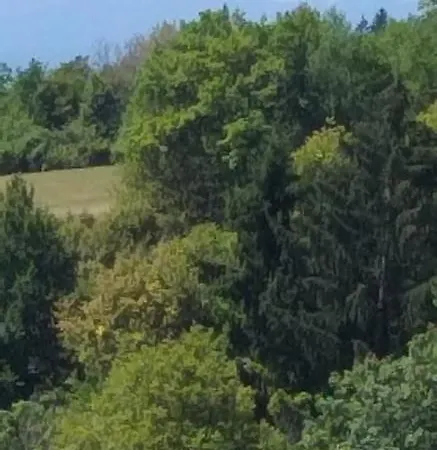 Apartma Metka Trzic *