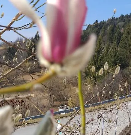 Apartma Metka Trzic Lägenhet