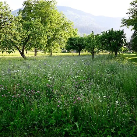 Apartma Metka Trzic * Lese