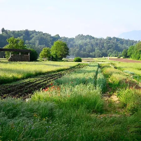 Lägenhet Apartma Metka Trzic Lese
