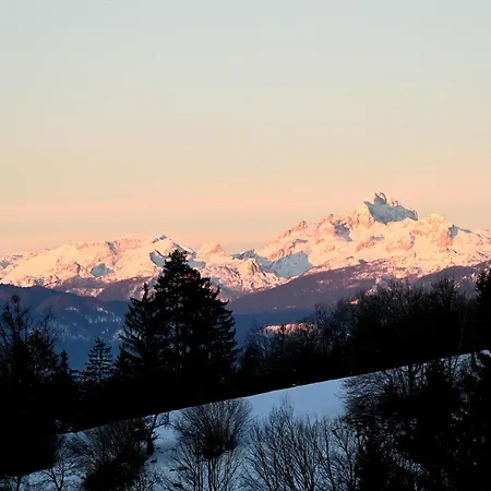 Apartma Metka Trzic Appartement Lese