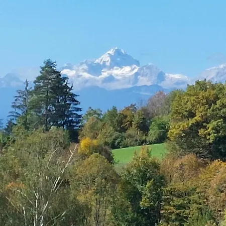 Апартаменты Apartma Metka Trzic *