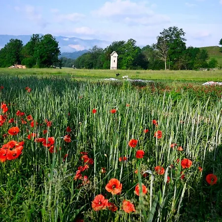 Apartma Metka Trzic *