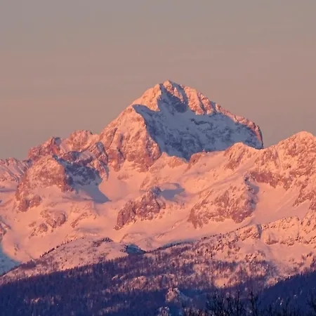 Apartma Metka Trzic * Lese