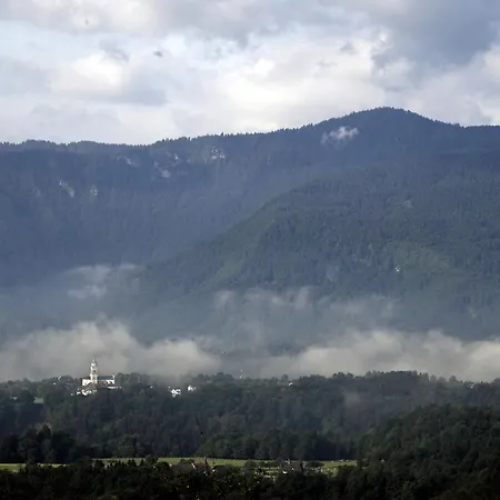 Lägenhet Apartma Metka Trzic Lese