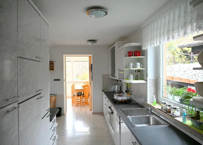 Apartma Metka Trzic Lese