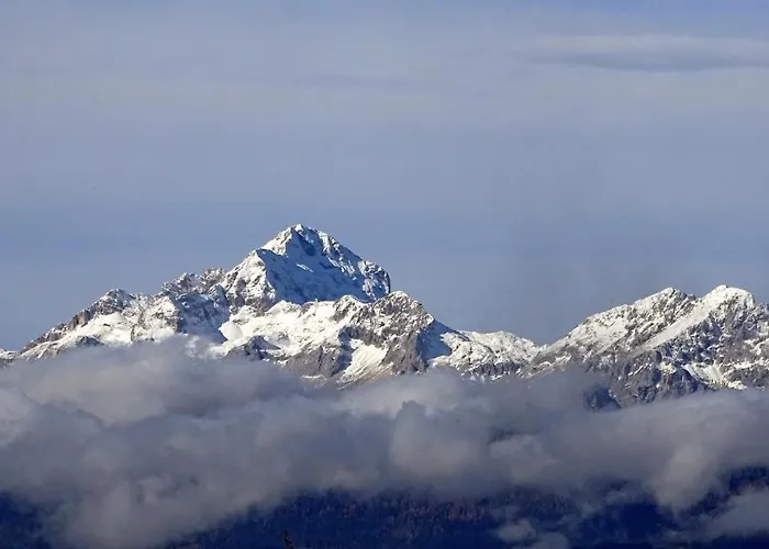 Apartma Metka Trzic Lese