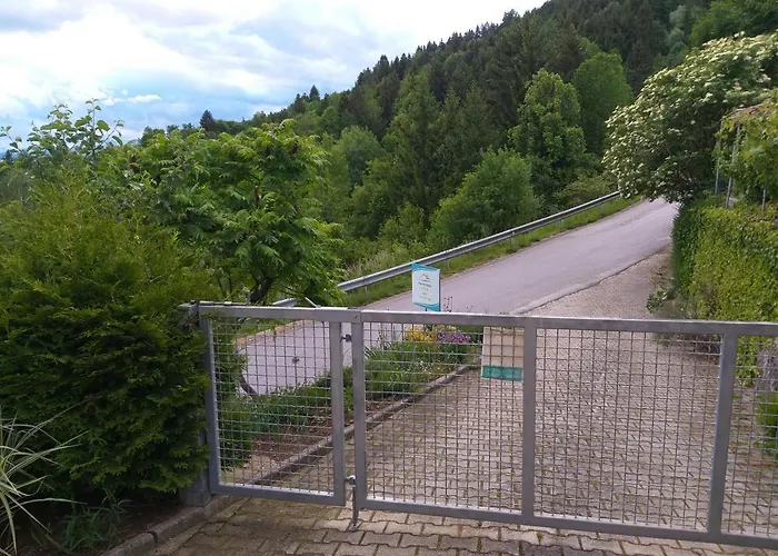 Apartma Metka Trzic * Lese