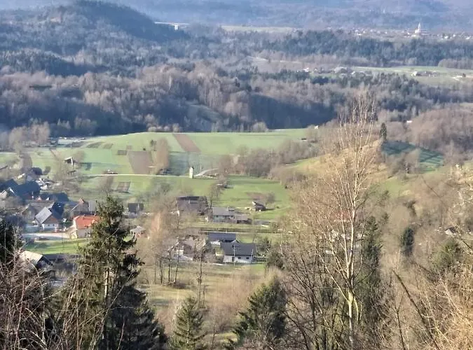 Apartma Metka Trzic *