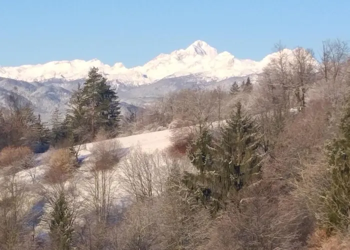 Apartma Metka Trzic Apartamento *