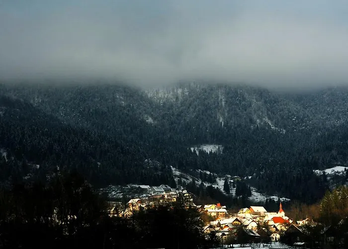 Apartma Metka Trzic * Lese