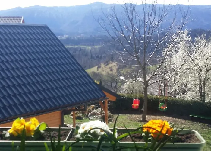 Apartma Metka Trzic Apartamento