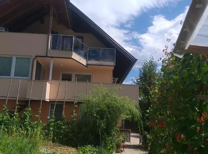 Apartma Metka Trzic 公寓