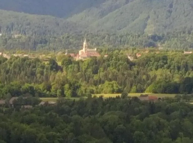 Apartma Metka Trzic * Lese