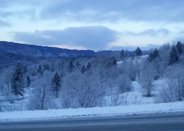 Apartma Metka Trzic Apartamento Lese