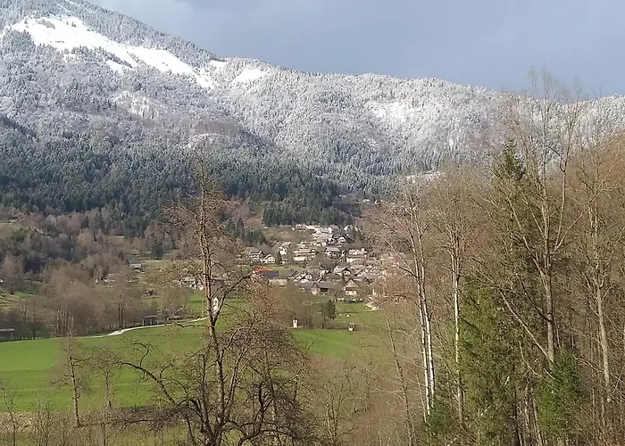 Apartma Metka Trzic Apartamento Lese