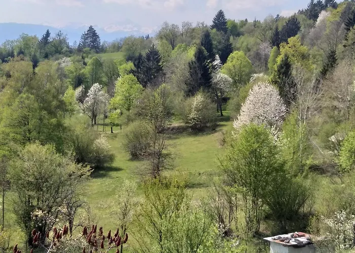 Apartma Metka Trzic *