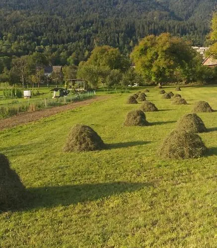 公寓 Apartma Metka Trzic Lese