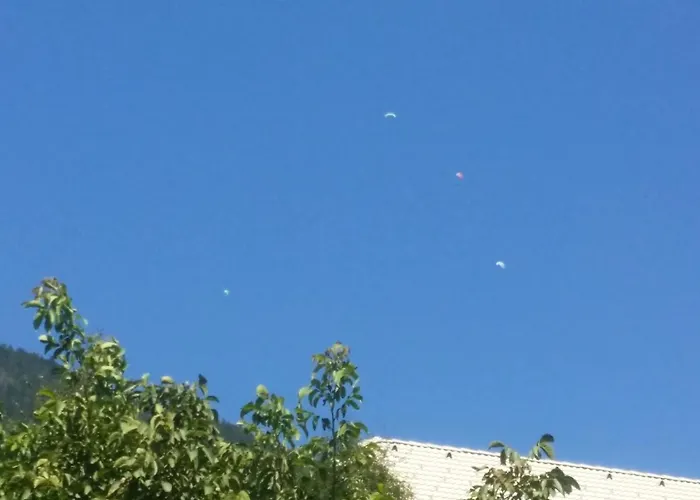 公寓 Apartma Metka Trzic *