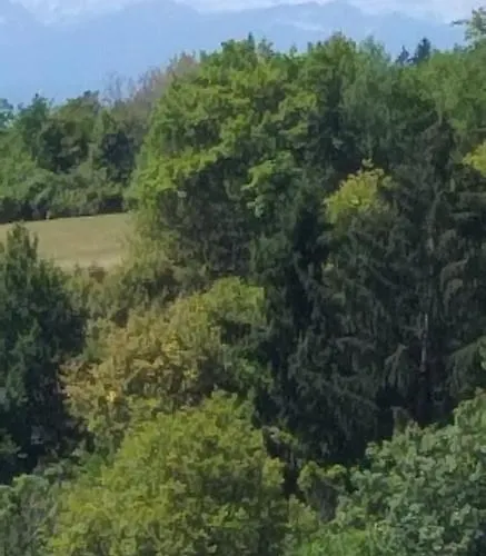 Apartma Metka Trzic *