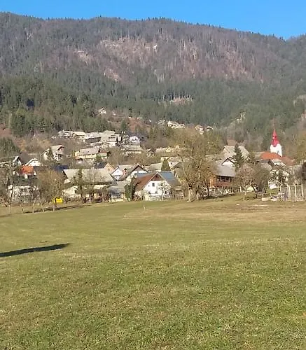 公寓 Apartma Metka Trzic