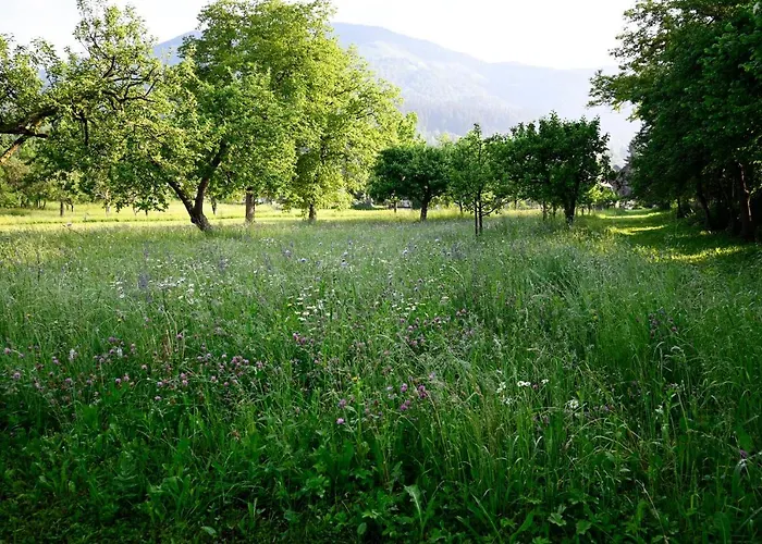 Apartma Metka Trzic * Lese