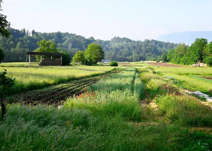 公寓 Apartma Metka Trzic Lese