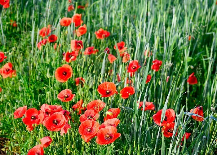 Apartamento Apartma Metka Trzic *