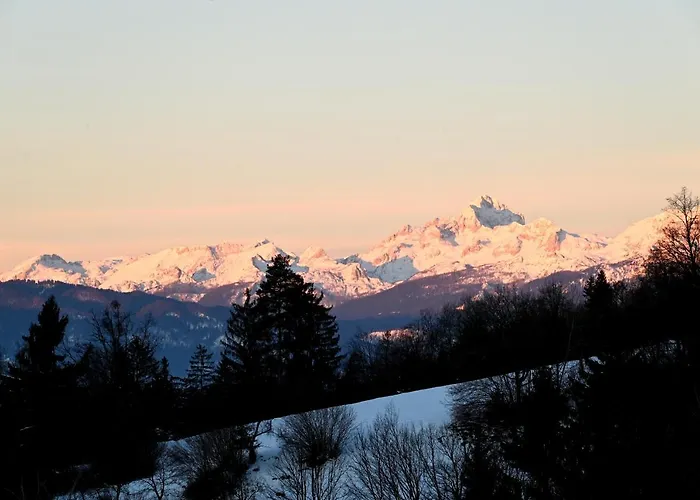 Apartma Metka Trzic Apartamento Lese