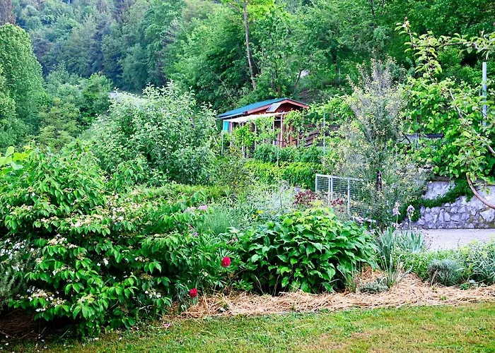 Apartma Metka Trzic Apartamento