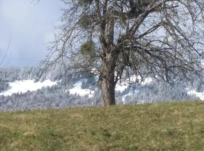 Apartma Metka Trzic Apartamento *