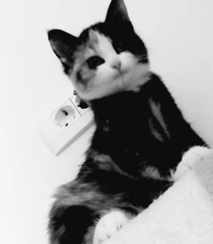 公寓 Apartma Metka Trzic *