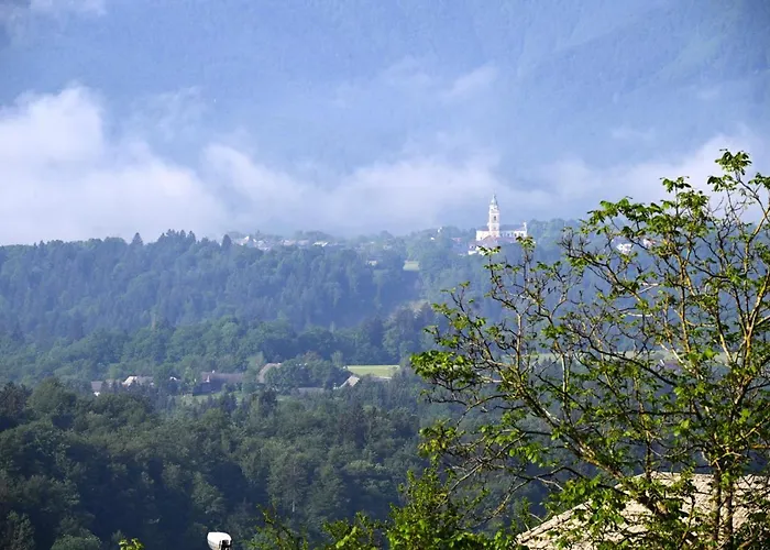 Apartma Metka Trzic 公寓 Lese