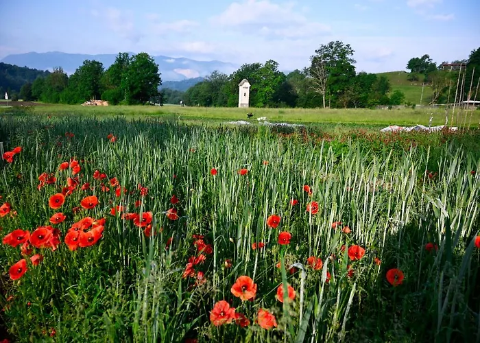 Apartma Metka Trzic *