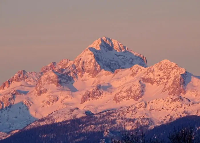 Apartma Metka Trzic * Lese